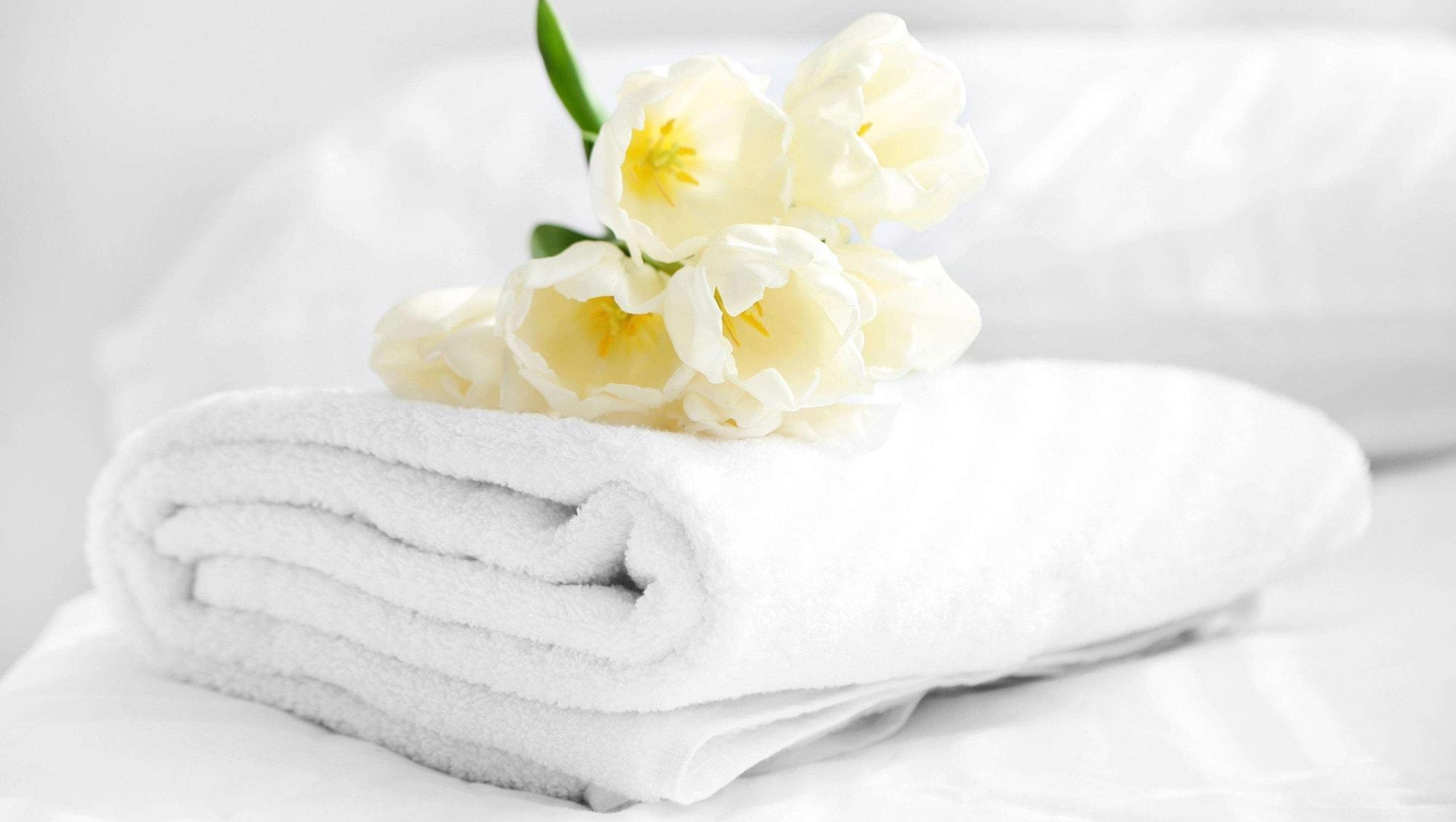 Magnuson Hotel Nashville North Goodlettsville Ngoại thất bức ảnh